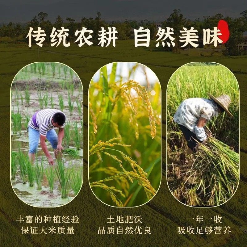 PA电子(中国区)唯一官方网站